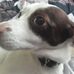 Jan Adair - Facebook