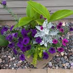 Jan Adair - @janadair.1 - Instagram