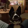 Jane Adair - @janeadair4 - TikTok