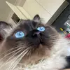 jana.gee - @jana.gee - TikTok