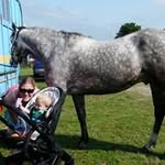 Jan Alderson - @hipfilly - Instagram