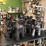 Jan Alderson - @alderson2522 - Instagram