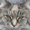 Jean Alderson - @user728846370 - TikTok