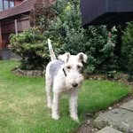 Janet Allport - @janetallport - Instagram