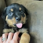 Janet Alverson - @janetcole1134 - Instagram