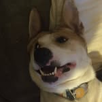 Janice Jane Alverson - @sissymcassjacks - Instagram