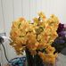 Jan Amos - Facebook