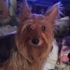 Janan Applegate - @jananapplegate - TikTok