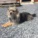 Jan Atkinson - Facebook