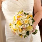 Jan Atkinson Scott-Long - @atkinsonscottlong - Instagram