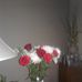 Jan Ayers - Facebook