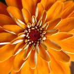 Jan Barlow - @janbarlow - Instagram