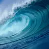 Jan Barron - @janki560 - TikTok