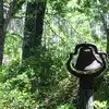jan.barron406 - @your_local_nanny - TikTok