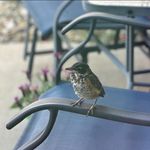 Jan Barry - @jbarry447 - Instagram