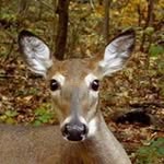Jan Bateman - @jkbateman - Instagram