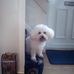 Jan Bateman - Facebook