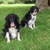 Jan Bateman - Facebook