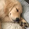 janduboisbateman - @janduboisbateman - TikTok
