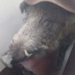 Jan Bayer - @janbayer294 - Instagram