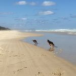 @janbeach19 - Instagram