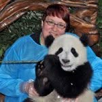 Jan Coad - @jan_beaver - Instagram