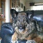 Jan Benjamin - @jangray_99 - Instagram