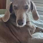 Jan Bennett - @keljan.bennett - Instagram