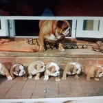 Jan Berge - @jan.berge.792 - Instagram