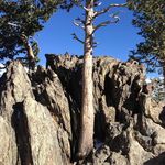 Jan Bernstein - @sendinglovingkindness - Instagram