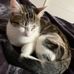 Jane Bernstein - Facebook