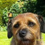 Jan Billington - @janbillington - Instagram