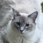 Jan Bledsoe Arrington - @arringtonjan - Instagram