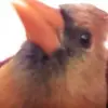 Jean Blount - @jean.blount02 - TikTok