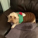 Jan Bolton - @janetelizabethbolton - Instagram