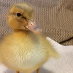 Jane Bolton - @jane.bolton.5895 - Instagram