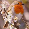 Jan Bone639 - @janbone639 - TikTok