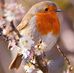 Jan Bone - Facebook