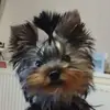 Jan Bone - @jan.bone2 - TikTok