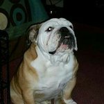 Jan Bone Lewis - @jan.b.lewis.3 - Instagram