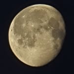 Jan Boon - @jan.boon.773 - Instagram