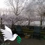 Jan Boon - @jan.boon.756 - Instagram