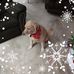 Janice Boswell - Facebook