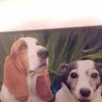 Jan Boylan - Facebook