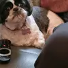 janeboylan870 - @janeboylan870 - TikTok