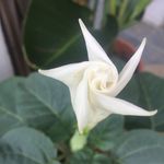 Jan Brackett - @janbyoga325 - Instagram