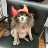 Janie Brackett - @janie.brackett - TikTok