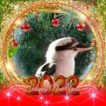 Jan Bradshaw - @gypsyjan50 - Instagram