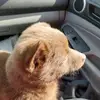 janbradshawhead - @janbradshawhead - TikTok