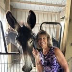 Jan Bragg - @jan_bragg - Instagram